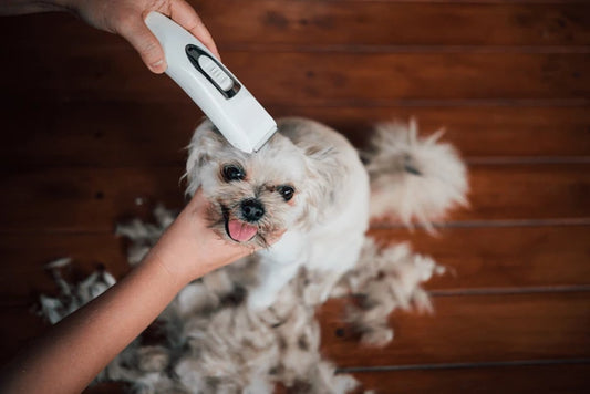 Dog Clipper